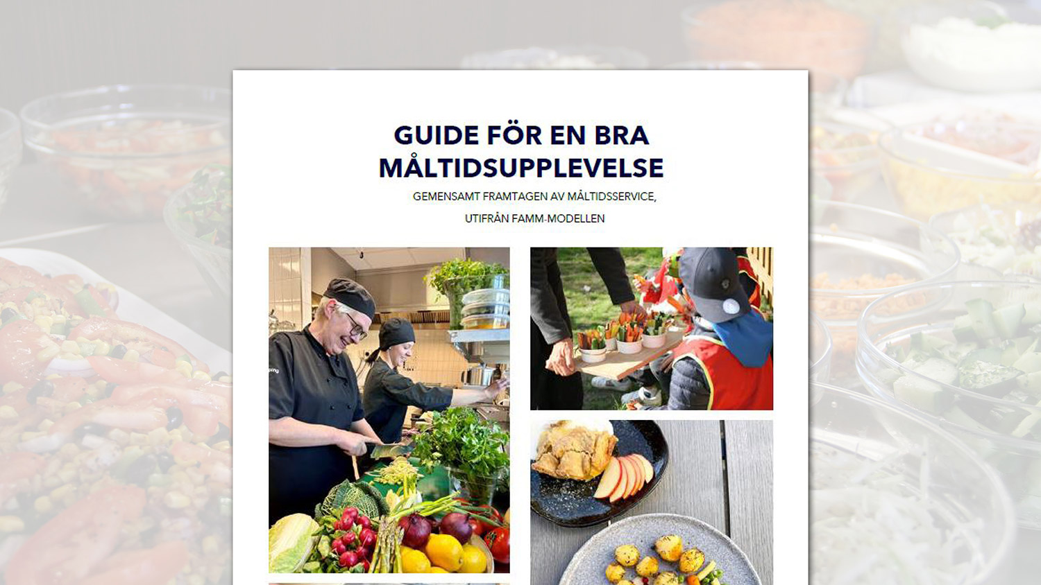 Broschyr med titeln 'Guide för en bra måltidsupplevelse', illustrerad med bilder av matlagning, barn som serveras grönsaker och färdiga maträtter.