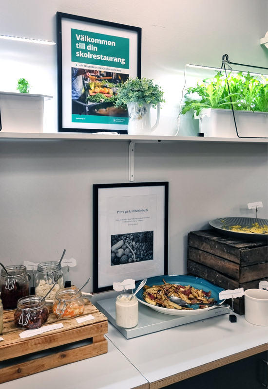 En smakstation med bland annat kolhydrater, kryddor och salladsodling.