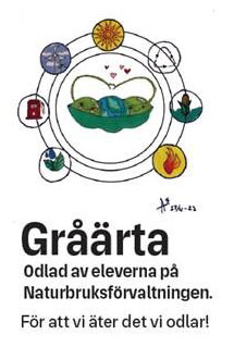 Illustration av gråärta. Texten: Odlad av eleverna på Naturbruksförvaltningen. För att vi äter det vi odlar!