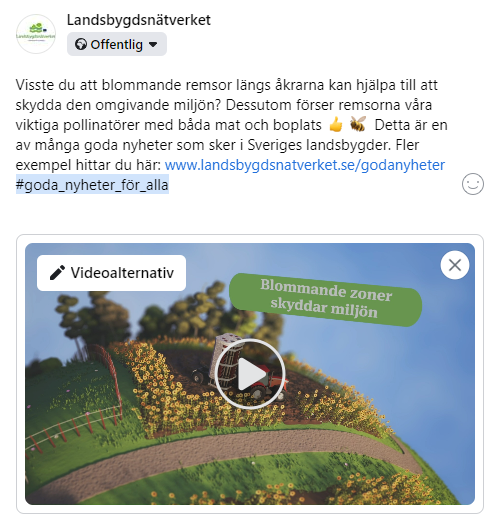 Bild på ett inlägg på Facebook. Text: Visste du att blommande remsor längs åkrarna kan hjälpa till att skydda den omgivande miljön? Dessutom förser remsorna våra viktiga pollinatörer med både mat och boplats. Detta är en av många goda nyheter som sker i Sveriges landsbygder. Fler exempel hittar du här: (länk)