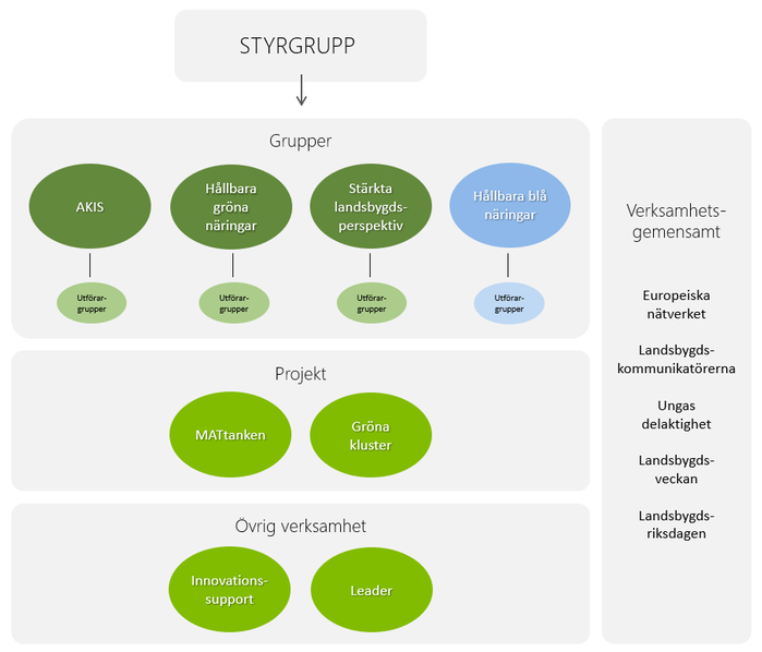 Organisationsskiss indelad i tre områden; grupper, projekt och övrig verksamhet.