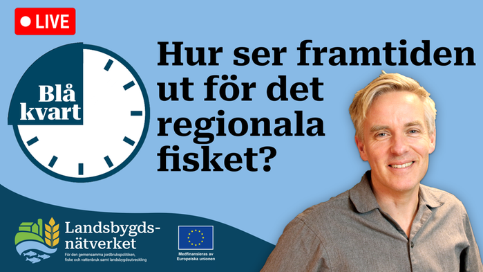 Text: Hur ser framtiden ut för det regionala fisket?