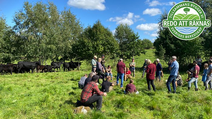 Bild på braxen med loggan för artikelserien ovanpå.