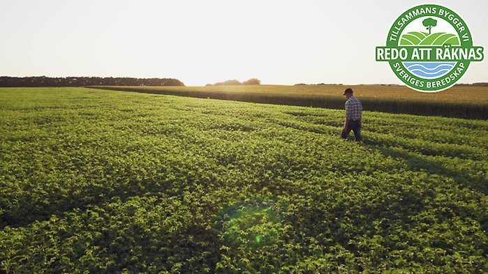 Bild på braxen med loggan för artikelserien ovanpå.