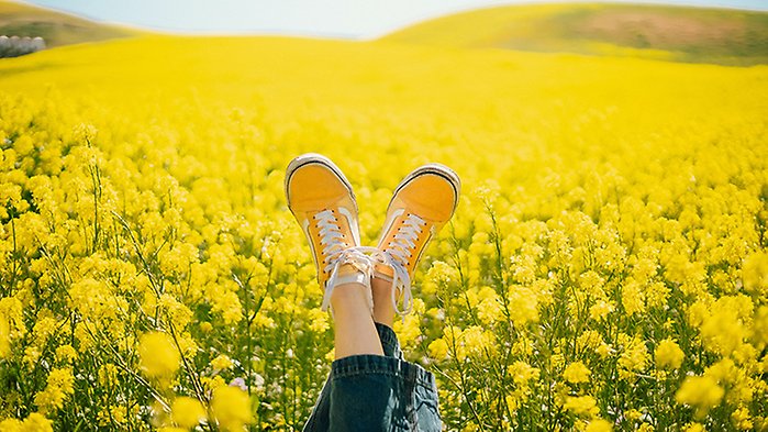 Ett par fötter med skor på, i närbild. I bakgrunden syns ett rapsfält.