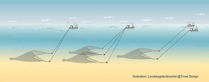 Illustration, tre olika typer av bottentrålar