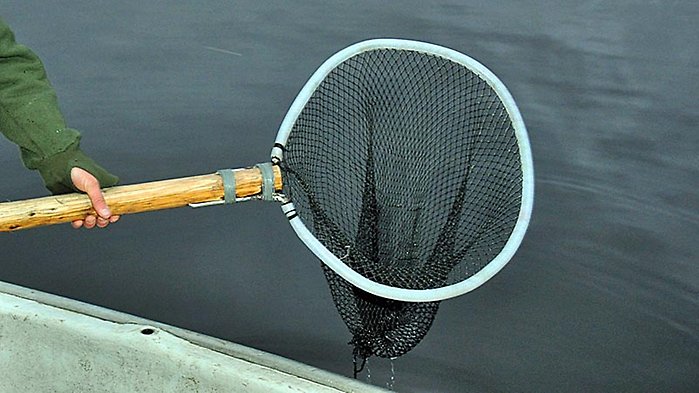 Var är det lönt att fiska? Foto Mickan Thor