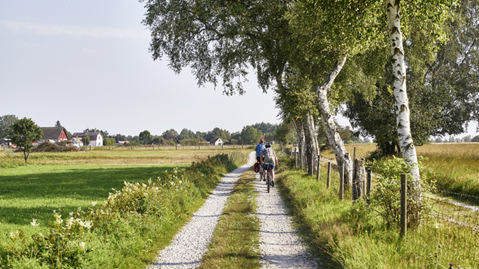 Två personer cyklar på en grusväg.