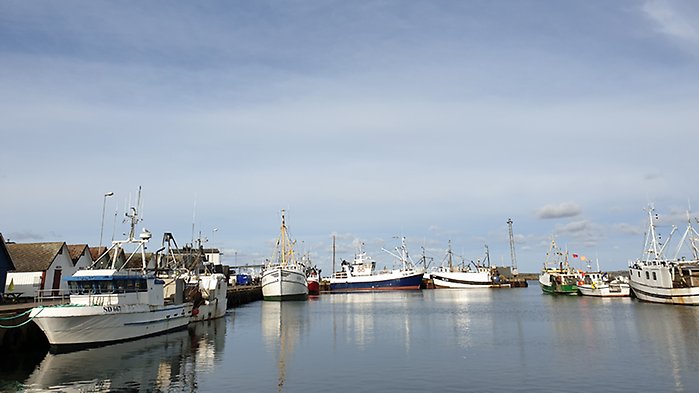 Fiskebåt i hamn.