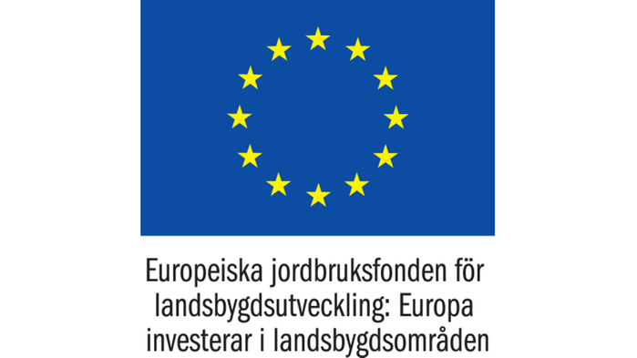 EU logo