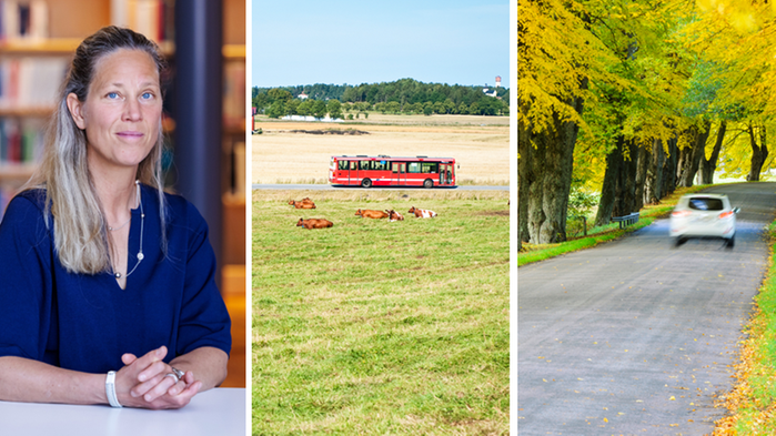 Tre bilder bredvid varandra. Från vänster: Porträttbild på Johanna Lindberg, en röd buss som kör förbi en kohage och en bil som kör genom en allé.