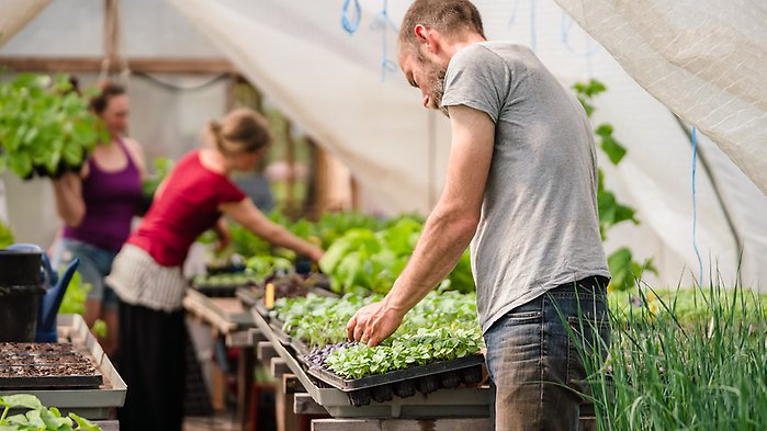 En bakgrundsbild från ett växthust. Texten Webbinarium om den strategiska dialogen för EU:s framtida jordbruk samt fyra porträttfoton: Jenny Ekman, Sofia Björnsson, Emma Svensson, Guillaume Plathner