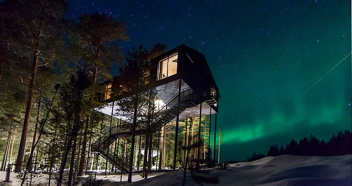 Tree Hotel