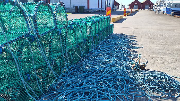 Gröna burar staplade i hög med blå rep på kaj.