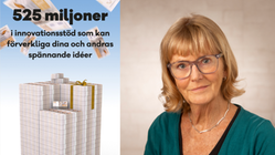 Rådgivare Inger Pehrson från innovationssupporten EIP-Agri och en text om 525 miljoner i innovationsstöd