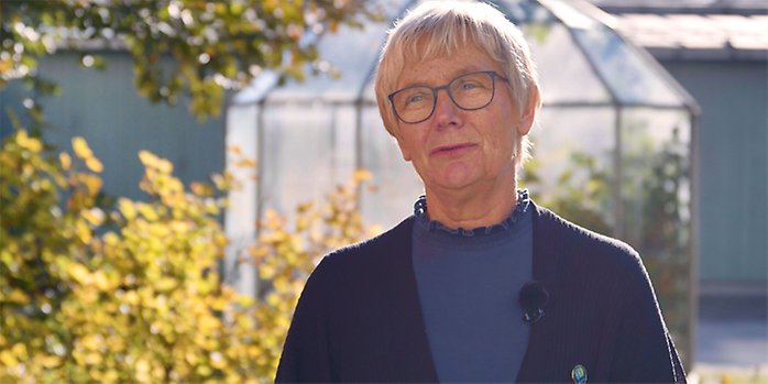 Eva Sundberg