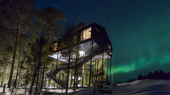 Tree hotel