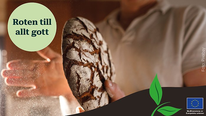 Man som håller fram en lax samt loggan för artikelserien ovanpå.